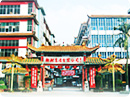 椰树集团