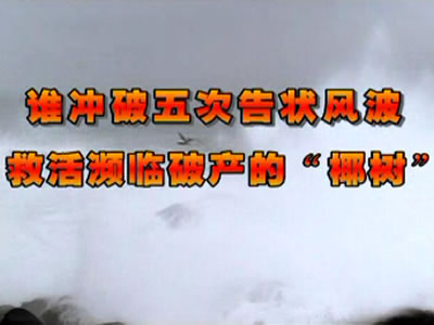 广告欣赏-营销中心
