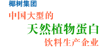 椰树集团